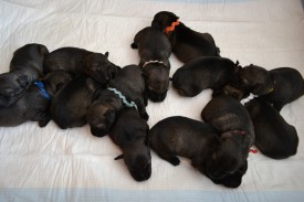 общая.jpg (266.85 КБ, Просмотров: 2411) общая.jpg