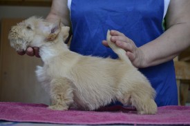 3.jpg (120.31 КБ, Просмотров: 1446) 3.jpg