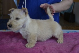 4.jpg (129.16 КБ, Просмотров: 1445) 4.jpg