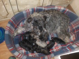 lGzOyttMgjk.jpg (66.78 КБ, Просмотров: 1724) lGzOyttMgjk.jpg