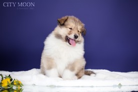 0_cbfd3_1d62cae6_XXL.jpg (281.27 КБ, Просмотров: 1607) 0_cbfd3_1d62cae6_XXL.jpg