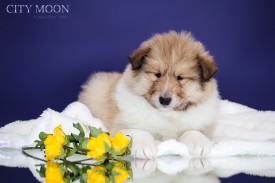 0_cbfe0_b7d91ae2_XXL.jpg (380.45 КБ, Просмотров: 1607) 0_cbfe0_b7d91ae2_XXL.jpg