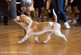 jRXUs.jpg (75.03 КБ, Просмотров: 2505) jRXUs.jpg