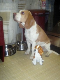 2013-11-12-765.jpg (257.46 КБ, Просмотров: 2430) 2013-11-12-765.jpg