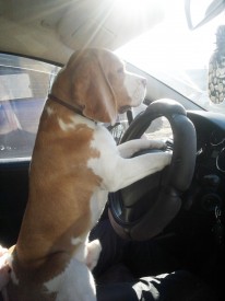 2013-10-13-704.jpg (255.4 КБ, Просмотров: 2432) 2013-10-13-704.jpg