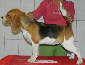 019.jpg (53.86 КБ, Просмотров: 2504) 019.jpg