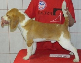 polis 062.jpg (54.94 КБ, Просмотров: 2617) polis 062.jpg