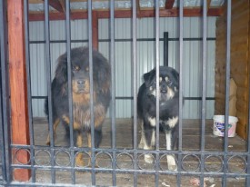 5.jpg (143.81 КБ, Просмотров: 1448) 5.jpg