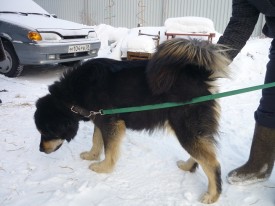 7.jpg (124.03 КБ, Просмотров: 1593) 7.jpg