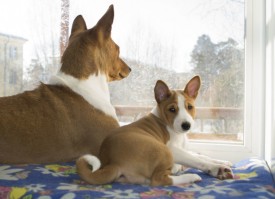 5555.jpg (115.18 КБ, Просмотров: 1229) 5555.jpg