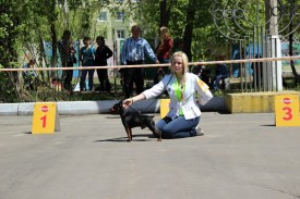 18oSWf3fapk.jpg (261.3 КБ, Просмотров: 7156) 18oSWf3fapk.jpg