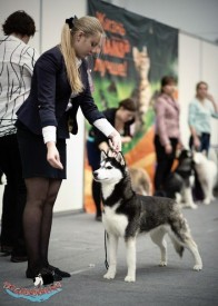 426_RZWBS3s.jpg (55.39 КБ, Просмотров: 7146) 426_RZWBS3s.jpg