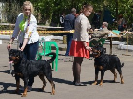 cL9TpI2SyuI.jpg (96 КБ, Просмотров: 7152) cL9TpI2SyuI.jpg