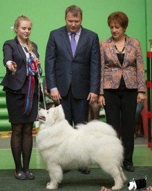 E4SJKBEmrAk.jpg (40.24 КБ, Просмотров: 7658) E4SJKBEmrAk.jpg