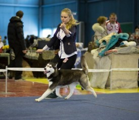 G0Au-R3tD08.jpg (57.48 КБ, Просмотров: 7141) G0Au-R3tD08.jpg