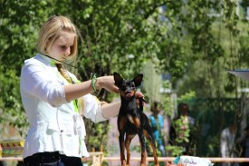 g2sqcPtwFh0.jpg (199.85 КБ, Просмотров: 6615) g2sqcPtwFh0.jpg