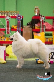 Gf5t-E5OONQ.jpg (57.4 КБ, Просмотров: 7156) Gf5t-E5OONQ.jpg