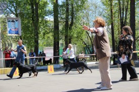 VvhCBJHpids.jpg (316.03 КБ, Просмотров: 6614) VvhCBJHpids.jpg