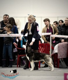 X7dO_YvwQoE.jpg (72.6 КБ, Просмотров: 7156) X7dO_YvwQoE.jpg