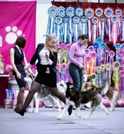 YeY5e605Vuk.jpg (75.33 КБ, Просмотров: 7141) YeY5e605Vuk.jpg