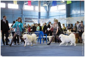 IMG_8406.jpg (240.01 КБ, Просмотров: 6403) IMG_8406.jpg