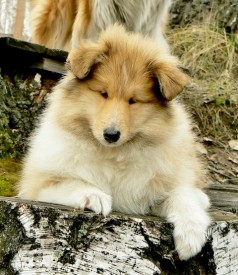 11.jpg (138.52 КБ, Просмотров: 1583) 11.jpg