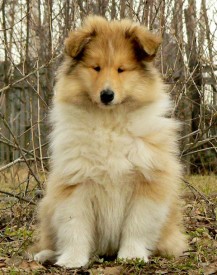 111.jpg (147.25 КБ, Просмотров: 1830) 111.jpg