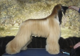 Без имени-1.jpg (371.2 КБ, Просмотров: 119194) Без имени-1.jpg