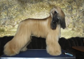 Без имени-1веня.jpg (348.14 КБ, Просмотров: 119204) Без имени-1веня.jpg