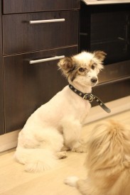 a72DvhYqK30.jpg (61.82 КБ, Просмотров: 2419) a72DvhYqK30.jpg