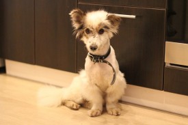 J2MTMfQjWco.jpg (60.22 КБ, Просмотров: 2435) J2MTMfQjWco.jpg