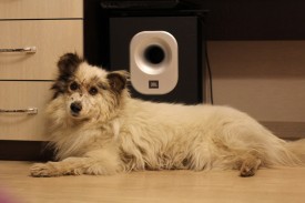 DY-KzQhGHPs.jpg (62.56 КБ, Просмотров: 2435) DY-KzQhGHPs.jpg