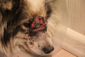 eZrH1JNJrQU.jpg (40.32 КБ, Просмотров: 2435) eZrH1JNJrQU.jpg