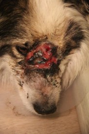 Gu0yKfFlBgE.jpg (55.23 КБ, Просмотров: 2905) Gu0yKfFlBgE.jpg