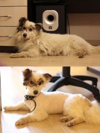 JmY0Vqfygck.jpg (78.89 КБ, Просмотров: 2428) JmY0Vqfygck.jpg