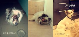 10155620_1435869189985215_2067250635908173007_n.jpg (53.28 КБ, Просмотров: 2419) 10155620_1435869189985215_2067250635908173007_n.jpg