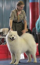 FxF7MKJUbK4.jpg (55.84 КБ, Просмотров: 6804) FxF7MKJUbK4.jpg