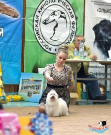 z0ZBE5_bjR8.jpg (77.63 КБ, Просмотров: 6801) z0ZBE5_bjR8.jpg