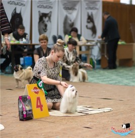 qbgH-tHV6so.jpg (77.55 КБ, Просмотров: 6807) qbgH-tHV6so.jpg