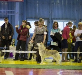 wumxeUNQBCA.jpg (63.46 КБ, Просмотров: 6764) wumxeUNQBCA.jpg