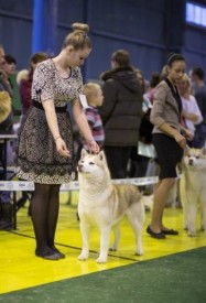 0Iz2wlEY_RU.jpg (41.82 КБ, Просмотров: 6236) 0Iz2wlEY_RU.jpg