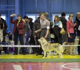 3XkKEvyLm0o.jpg (63.02 КБ, Просмотров: 7266) 3XkKEvyLm0o.jpg