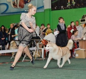 5cRxTHZGruQ.jpg (54.43 КБ, Просмотров: 6229) 5cRxTHZGruQ.jpg