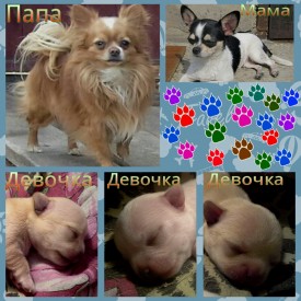 PicsArt_1397488523687.jpg (790.12 КБ, Просмотров: 3639) PicsArt_1397488523687.jpg