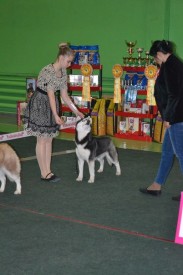 00a4PcDM1yI.jpg (54.22 КБ, Просмотров: 6193) 00a4PcDM1yI.jpg