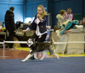 2eI83sO0tYM.jpg (57.5 КБ, Просмотров: 7230) 2eI83sO0tYM.jpg