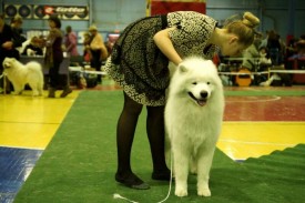 8C56StoKTbc.jpg (70.88 КБ, Просмотров: 6190) 8C56StoKTbc.jpg