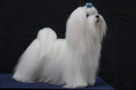 3c9a2dd9bfa701d6f51420961cde2c7c.jpg (27.97 КБ, Просмотров: 6729) 3c9a2dd9bfa701d6f51420961cde2c7c.jpg