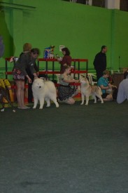 28m2JAD1Qrc.jpg (41.83 КБ, Просмотров: 6729) 28m2JAD1Qrc.jpg