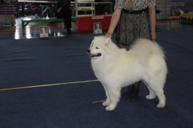 eZhJQPxrPHI.jpg (40.85 КБ, Просмотров: 7219) eZhJQPxrPHI.jpg